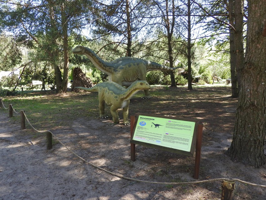 Jurajski Park Dinozaurów (Muzeum Dziejów Ziemi) w Jurowcach...