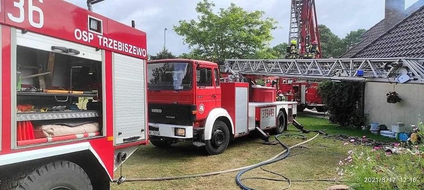 Do zdarzenia doszło w Trzebiszewie we wtorek przed...