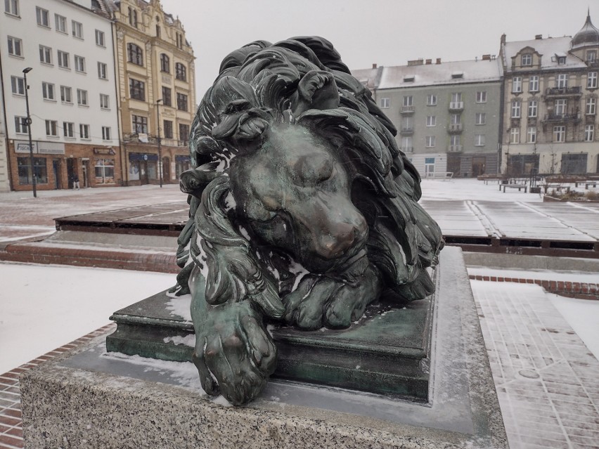 Czy śpiący lew z bytomskiego Rynku lunatykował? Niezwykłe wędrówki rzeźby, która stała się symbolem Bytomia. Poznajcie jego historię