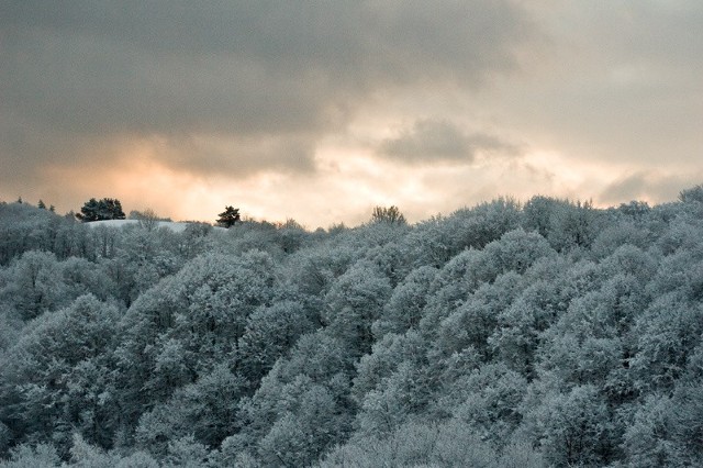 Powyżej górnej granicy lasu wieje silny wiatr. Śnieg leży również na terenach Gmin Czarna i Solina. Drogi są przejezdne.