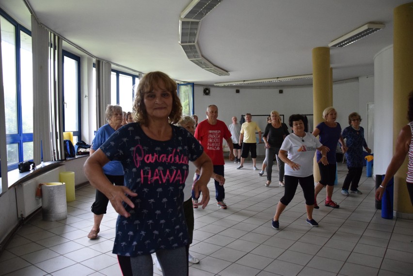 Gimnastyka dla seniorów w Parku Śląskim. Róża Domeradzka wie, jak zachęcić seniorów do ruchu