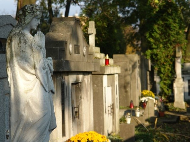 to nowa akcja straży miejskiej