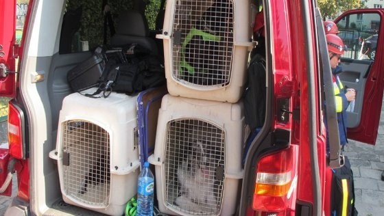 OSP JRS we Wrocławiu ratuje życie z pomocą psów ratowniczych