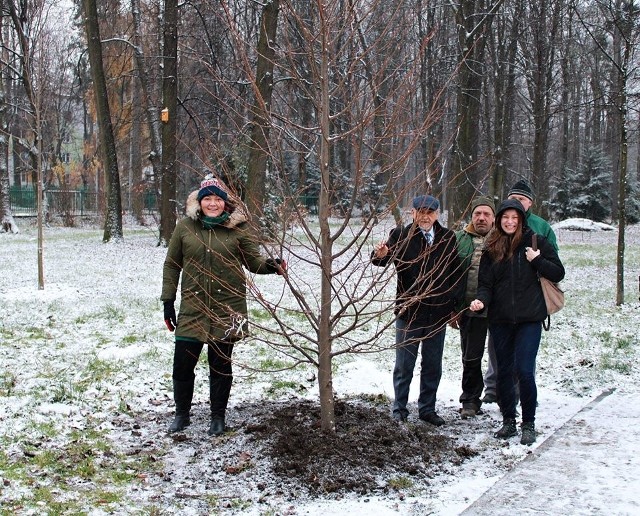 Wizytacja w zniszczonym przez wichurę Parku Habsburgów w Żywcu, 3 grudnia 2019