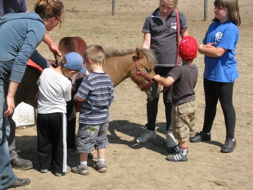 Niekłonice: Przedszkolaki z wizytą w stadninie koni.