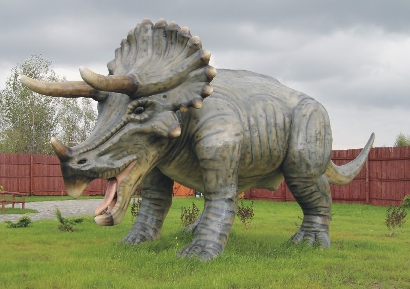 Park dinozaurów w Radymnie ma szansę stać się jedną z...