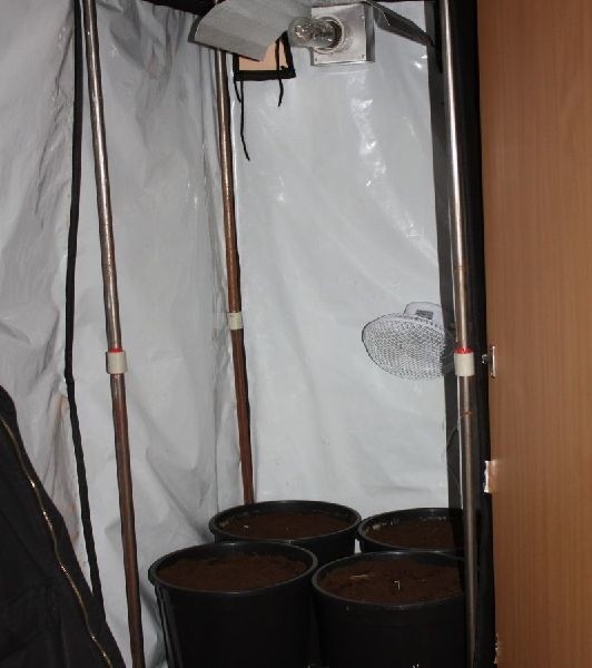 W mieszkaniu 20-latka policjanci znaleźli specjalistyczną szafę do uprawy roślin.