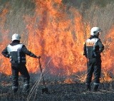 Naczelnik Ochotniczej Straży Pożarnej w Kamieniu Wielkim namawiał do podpalenia lasów i stodół