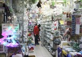 W sobotę w radomskiej Hali Feniks zakupy robiło dużo mieszkańców miasta. Co można tam kupić? - zobacz zdjęcia