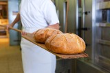 Nawet 300 tys. bochenków chleba z technicznego zboża z Ukrainy może krążyć po polskich sklepach. Czym grozi zjedzenie?
