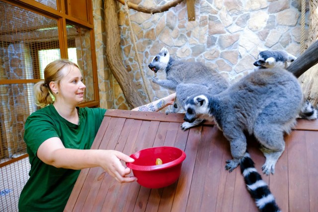 Feryjne zajęcia dla dzieci będą okazją, by poznać zwierzęta mieszkające w Ogrodzie Zoobotanicznym