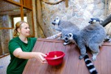 Ogród Zoobotaniczny w Toruniu zaprasza na ferie. Sprawdź, co się tam będzie działo