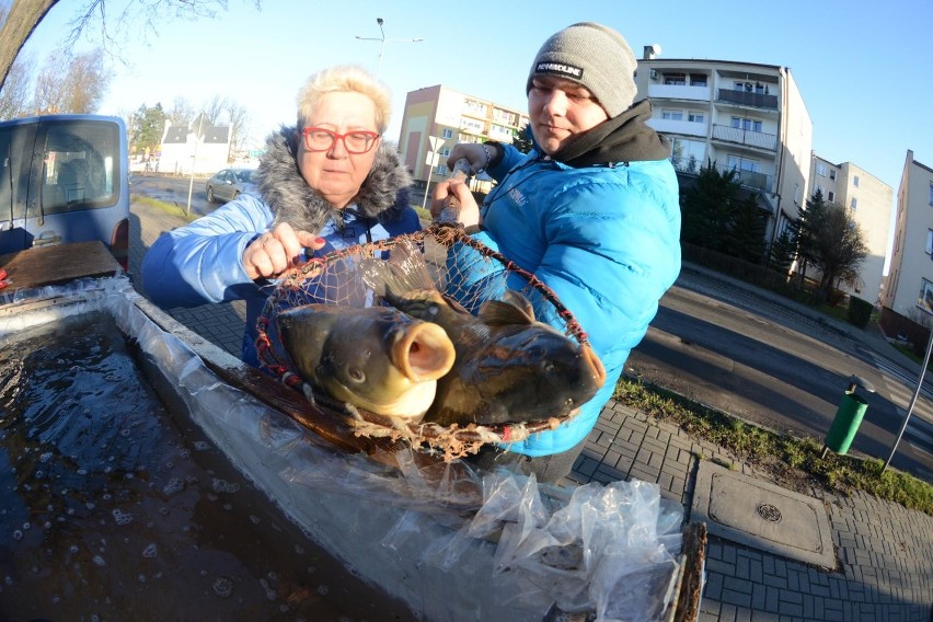 Ceny Karpia 2018