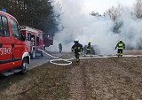 Makabryczny wypadek w Damianach. Kierowca spłonął zakleszczony w samochodzie