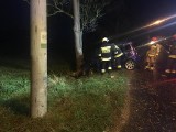 Wypadek w Popielowie. Samochód uderzył w drzewo 