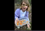 TikTokerka zrobiła jajecznicę z trującymi grzybami i  ją zjadła. Myślała, że to kurki. Jest reakcja Lasów Państwowych. Nagranie hitem sieci