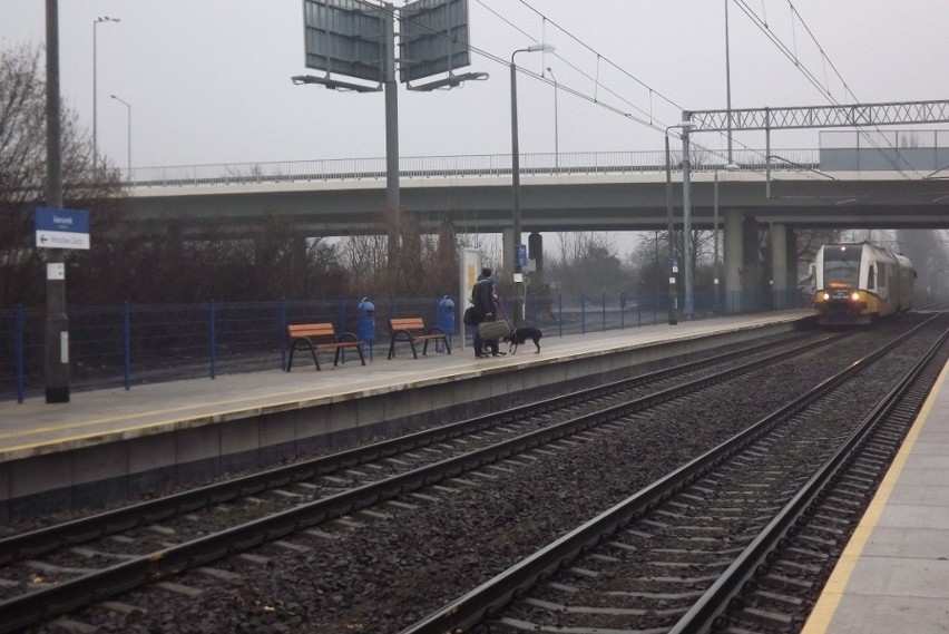 Wrocław ma nowy przystanek kolejowy. Dziś odjechały z niego pierwsze pociągi (ZDJĘCIA)