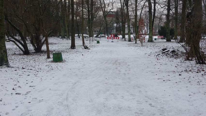 Koszaliński park w zimowej scenerii