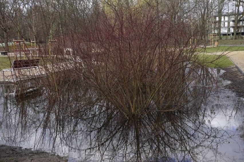 Podtopiony park Wodziczki. Tak ten teren prezentował się w...