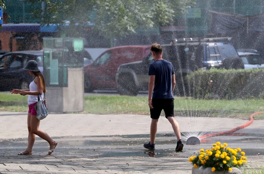 Pogoda na lato. Wrócą upały? Co nas czeka w weekend? Sprawdź! [PROGNOZA POGODY]