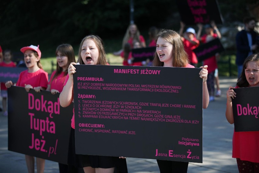Kraków. Pod Wawelem manifestowali w sprawie lepszej ochrony jeży w Polsce