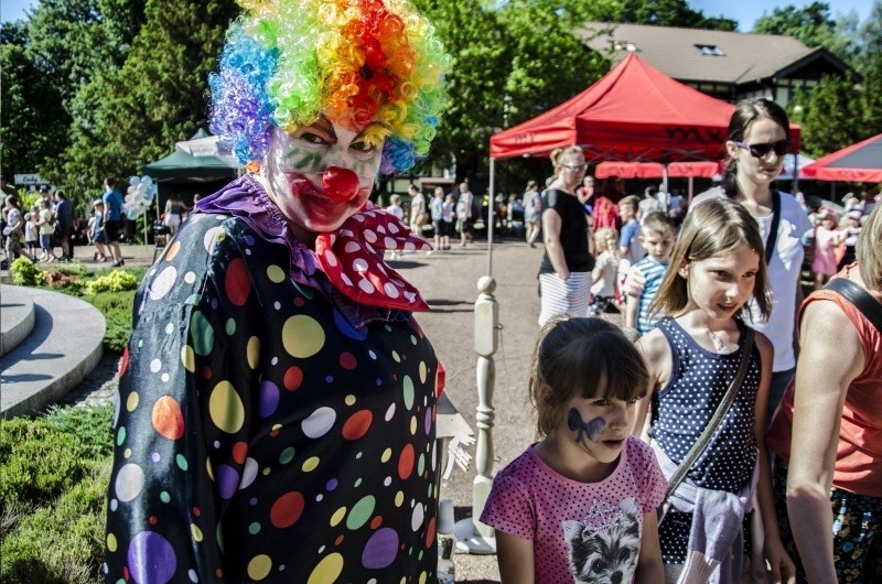 Magiczna impreza w Jastrzębiu: Dzieci zachwycone