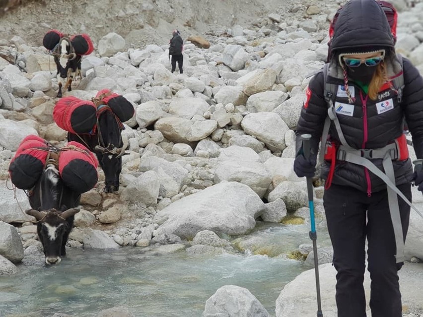 Szczepan Brzeski z Bochni zdobył Everest, a Sylwia Bajek -...