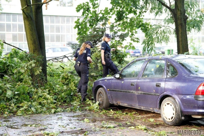 Straż pożarna od godz. 4.45 do godz 7.00 interweniowała...