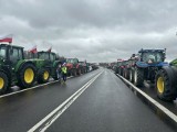 Rolnicy znów wyjadą na ulicę. Będą protestować przeciwko Zielonemu Ładowi