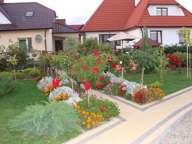 Tak prezentuje się ogród Moniki i Rafała Kędziorów.
