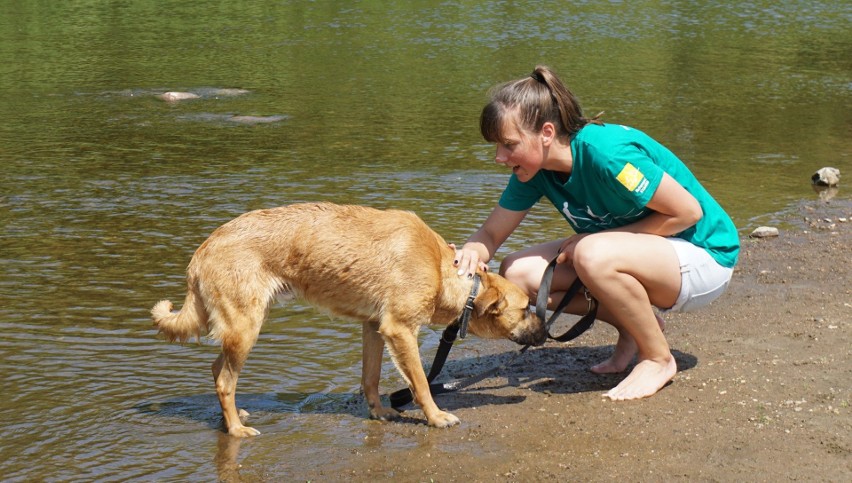 Młodzież odwiedziła psy ze schroniska w Kruszewie.