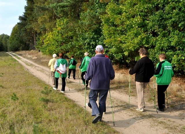 Trasy są urocze i często wiodą przez las.