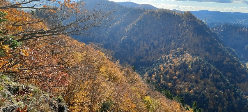 Trzy Korony jesienią. Górska wycieczka w malownicze Pieniny, skąd widać Tatry [ZDJĘCIA]