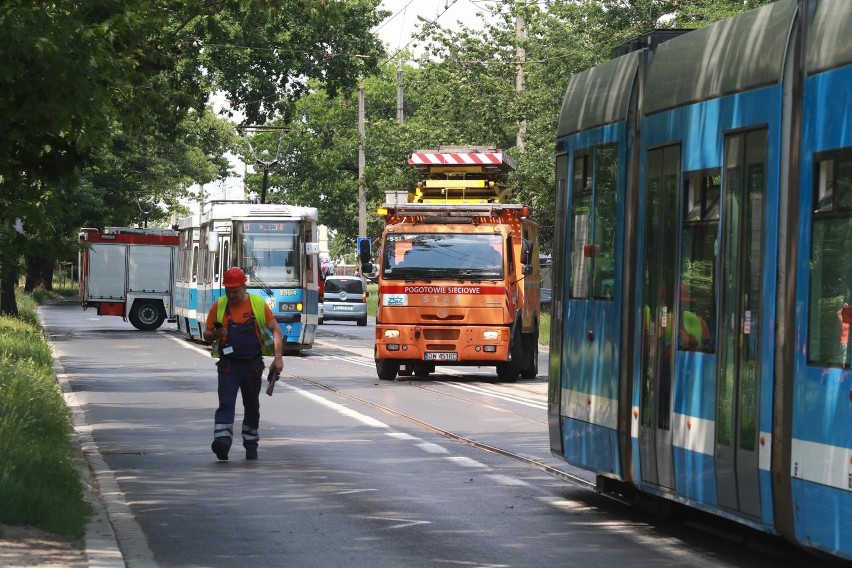 Ulica Kazimierza Wielkiego, place Jana Pawła II czy Orląt...