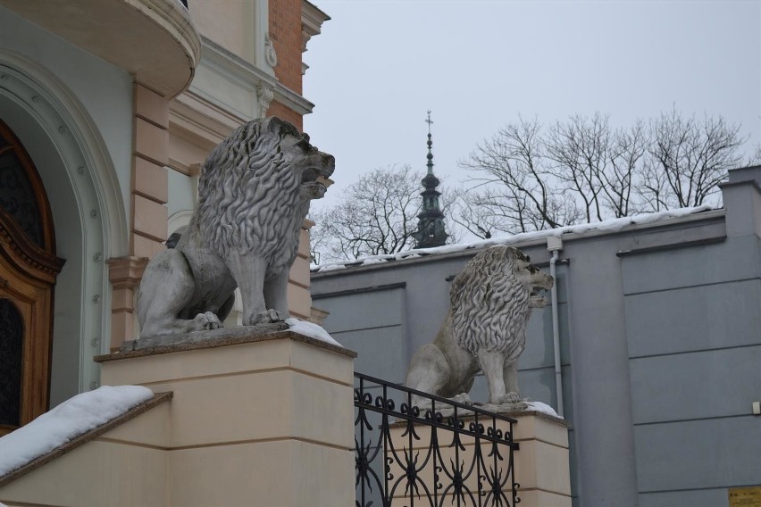 Częstochowa: Nie taki Raków straszny, jak go malują