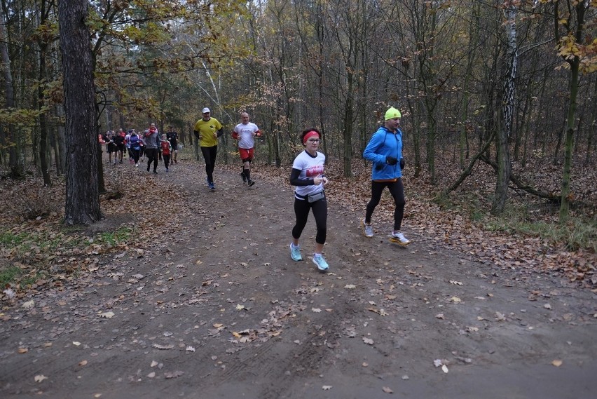 Mamy zdjęcia z kolejnej edycji Parkrun Toruń. Z okazji...