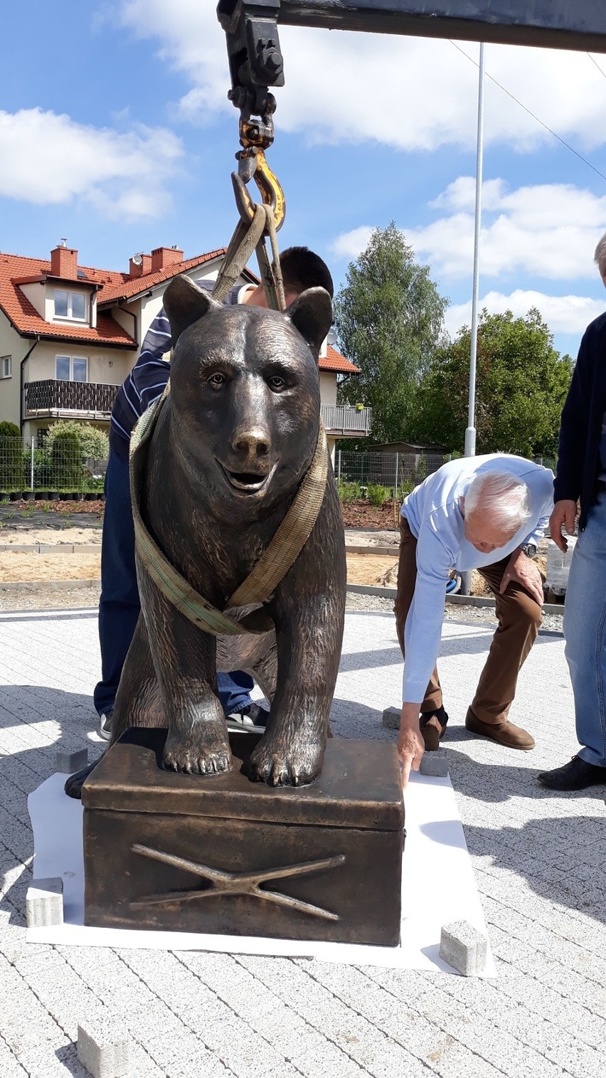 Szczecin. Miś Wojtek już stoi na skwerze swojego imienia [WIDEO, ZDJĘCIA]