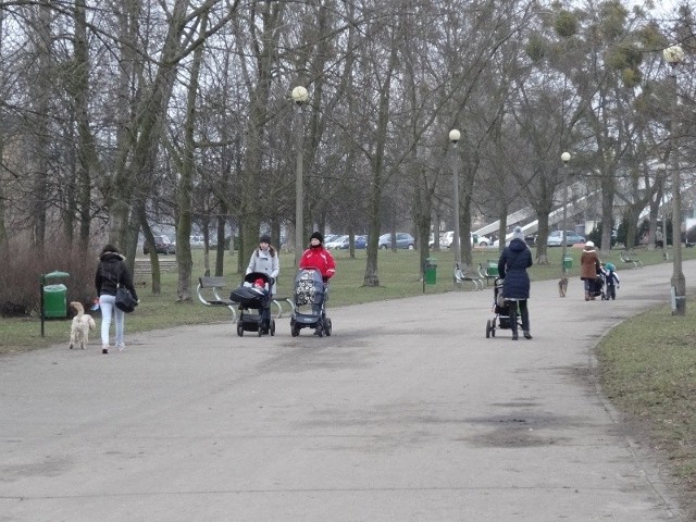 By zapewnić bezpieczeństwo spacerowiczom trzeba było wyciąć część krzewów i drzew, które rosły w okolicach Areny.