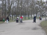 Park Kasprowicza: Wycieli część krzaków i drzew dla bezpieczeństwa spacerowiczów