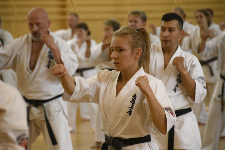 Międzynarodowy Letni Obóz Karate w Kielcach z mistrzami świata i Europy. Mocne treningi, egzaminy i pokaz [ZDJĘCIA, WIDEO]  