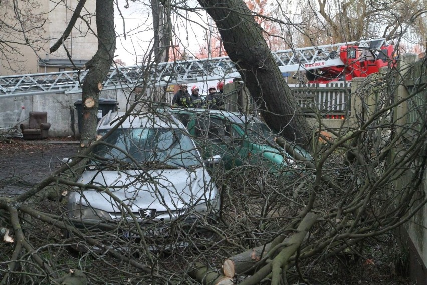 Drzewo runęło na dwa samochody i budynek przy ul....