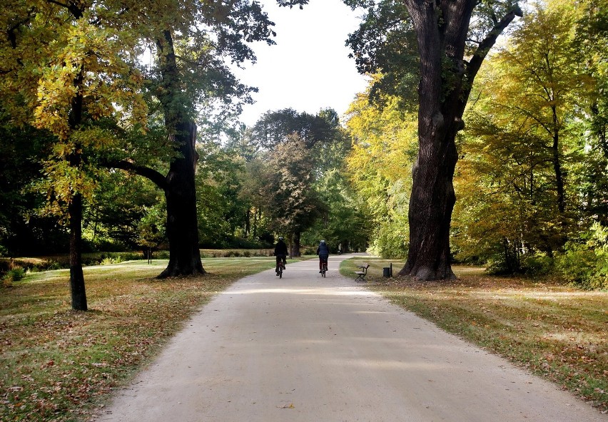 Bad Muskau/Park Mużakowski