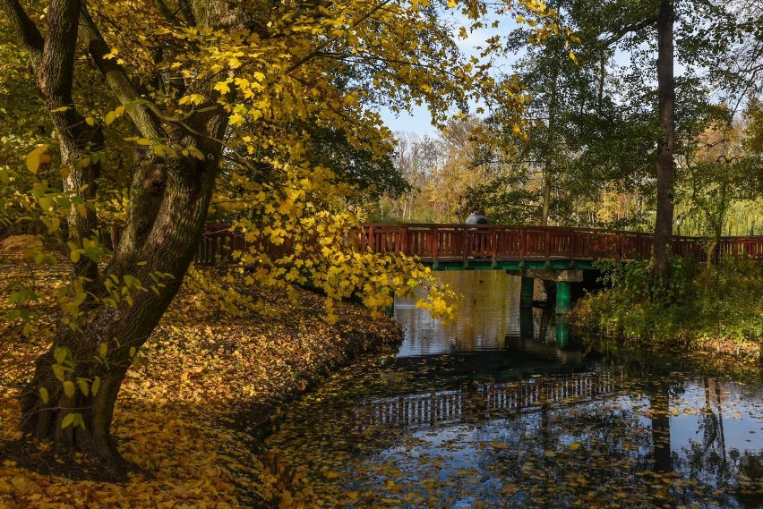 Park Sołacki...