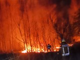 Pańki. Pożar traw przy Szosie Kruszewskiej na obszarze 2 hektarów. Cztery zastępy strażaków przez dwie godziny walczyło z ogniem [ZDJĘCIA]