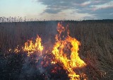 Słupsk. Trwa seria bezmyślnych podpaleń traw