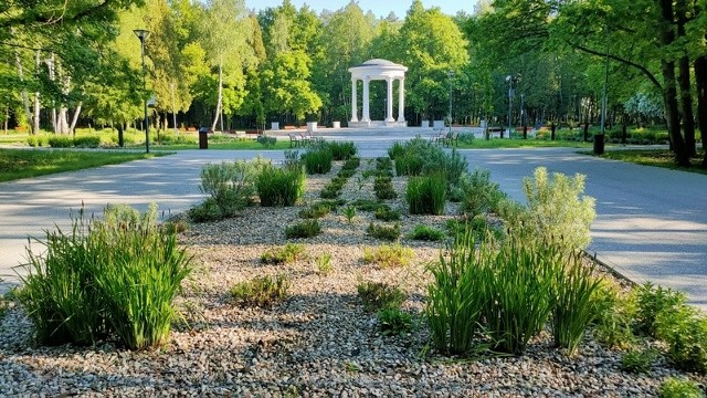 Park Zielona wypełnia soczysta zieleń, a do tego wszędzie czuć kwitnący czosnek niedźwiedzi Zobacz kolejne zdjęcia/plansze. Przesuwaj zdjęcia w prawo - naciśnij strzałkę lub przycisk NASTĘPNE