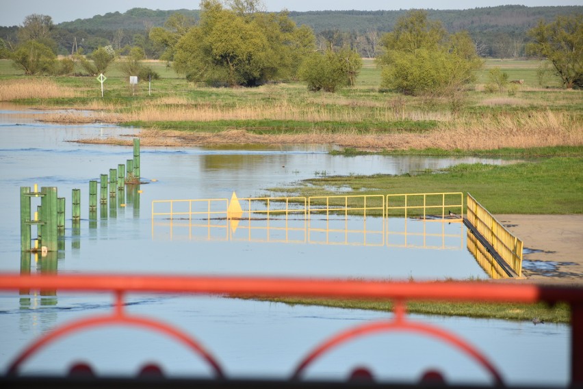 Odra znów jest wyższa w Krośnie Odrzańskim. Port ponownie...