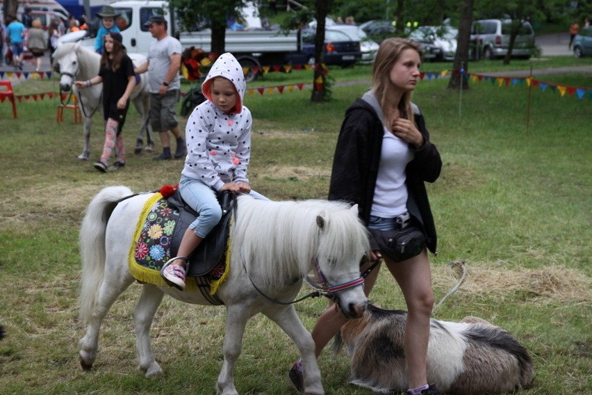 Trzeci dzień tegorocznych Dni Dąbrowy Górniczej w Parku...