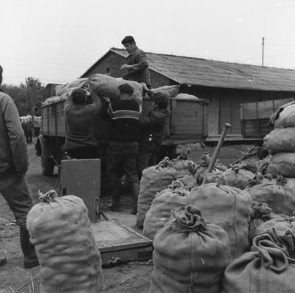 Skup owoców i warzyw w Gminnej Spółdzielni w Kępinie - 1972...