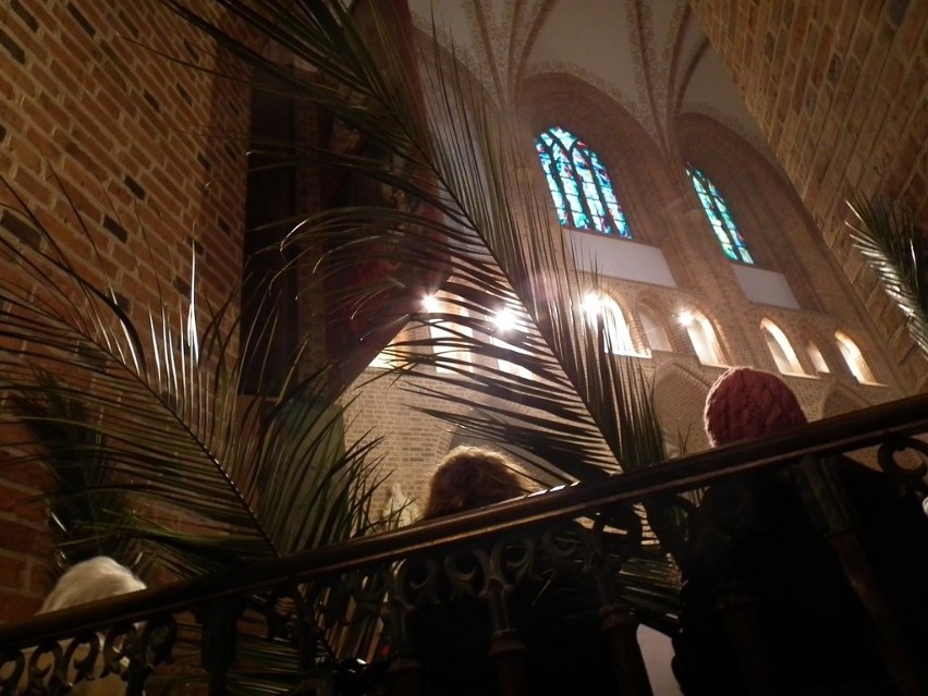 Niedziela palmowa w katedrze poznańskiej